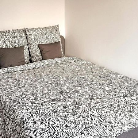 Nancy Centre Gare Appartement Renove 3 Chambres ภายนอก รูปภาพ